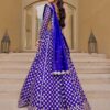 most beautiful most trending lehenga