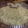 dreamex designer soft net lehenga with heavy sequin embroidery & feather lace dupatta