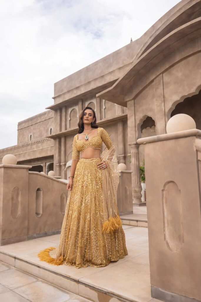 dreamex designer soft net lehenga with heavy sequin embroidery & feather lace dupatta