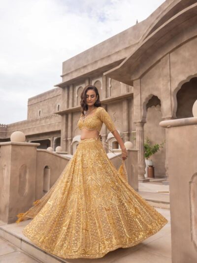 dreamex designer soft net lehenga with heavy sequin embroidery & feather lace dupatta