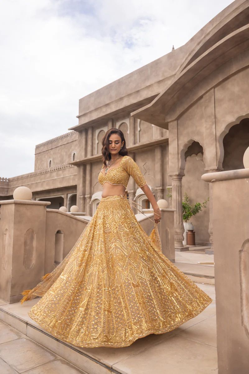 dreamex designer soft net lehenga with heavy sequin embroidery & feather lace dupatta dreamex designer soft net lehenga with heavy sequin embroidery & feather lace dupatta
