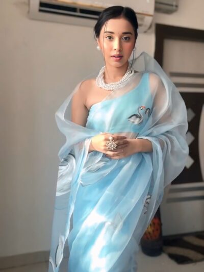 sky blue printed organza saree with unstitched blouse