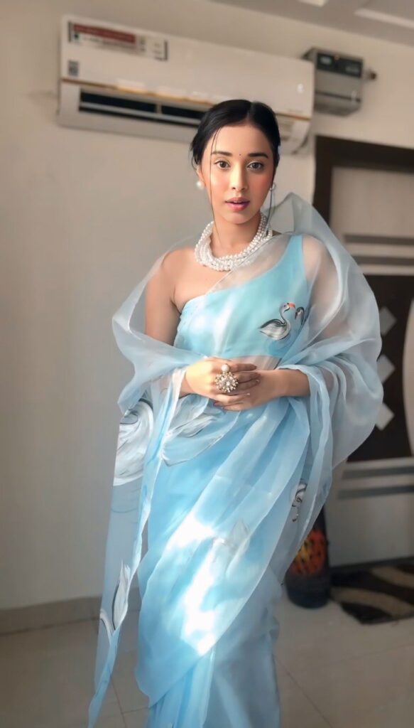 sky blue printed organza saree with unstitched blouse