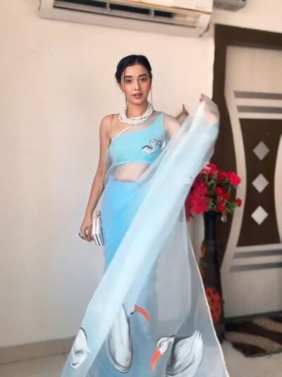 sky blue printed organza saree with unstitched blouse