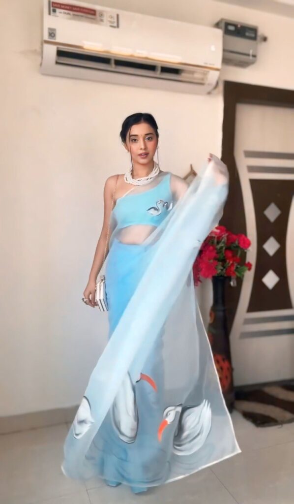 sky blue printed organza saree with unstitched blouse