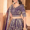 wine net lehenga choli with golden zari embroidery