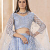 designer butterfly net lehenga choli with embroidery