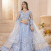 designer butterfly net lehenga choli with embroidery