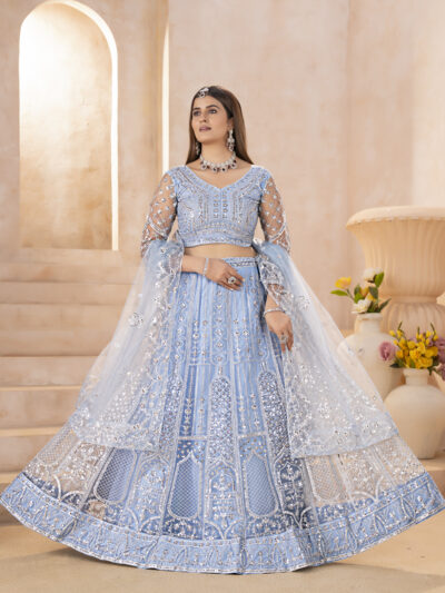 designer butterfly net lehenga choli with embroidery