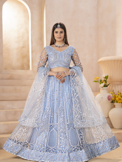 designer butterfly net lehenga choli with embroidery