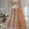 rust orange butterfly net lehenga choli with white embroidery